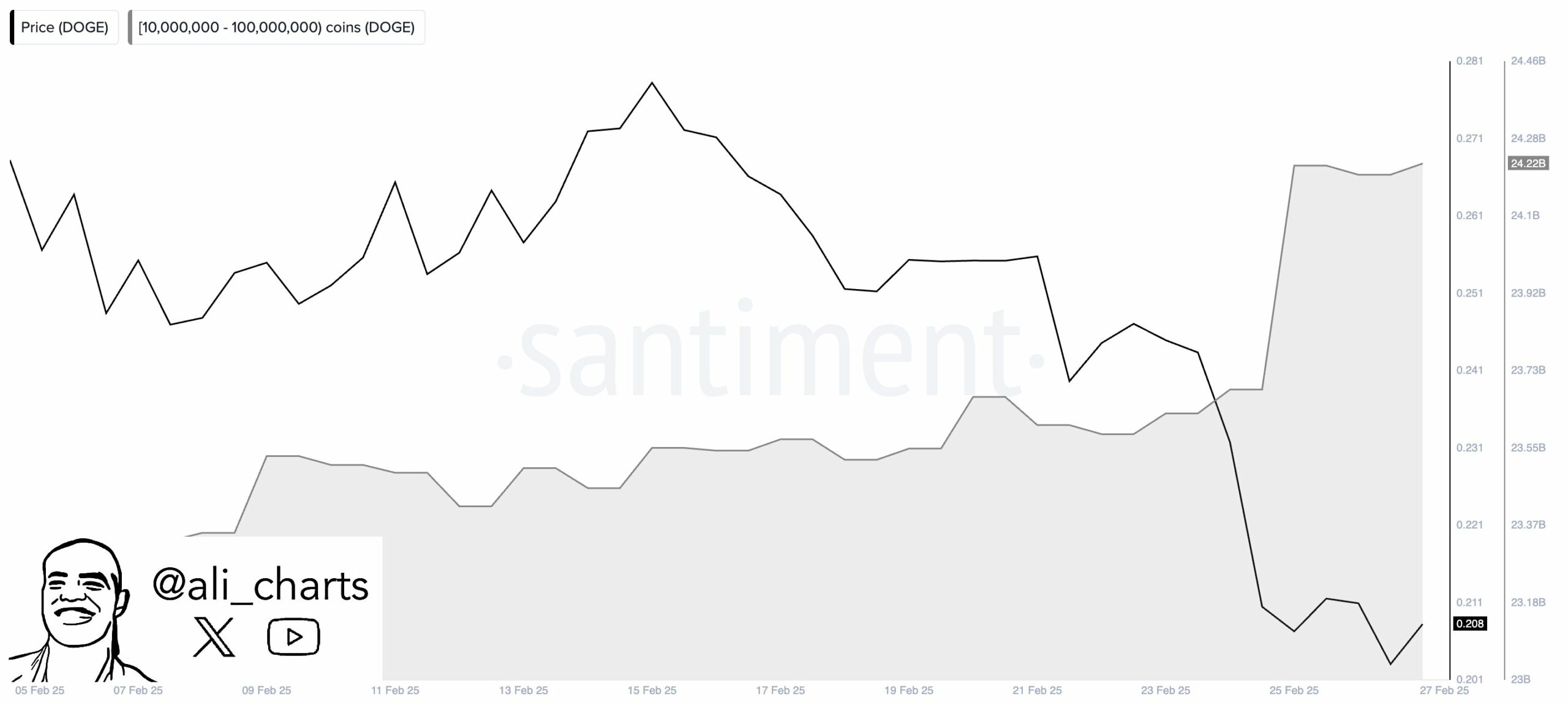 Dogecoin accumulation data