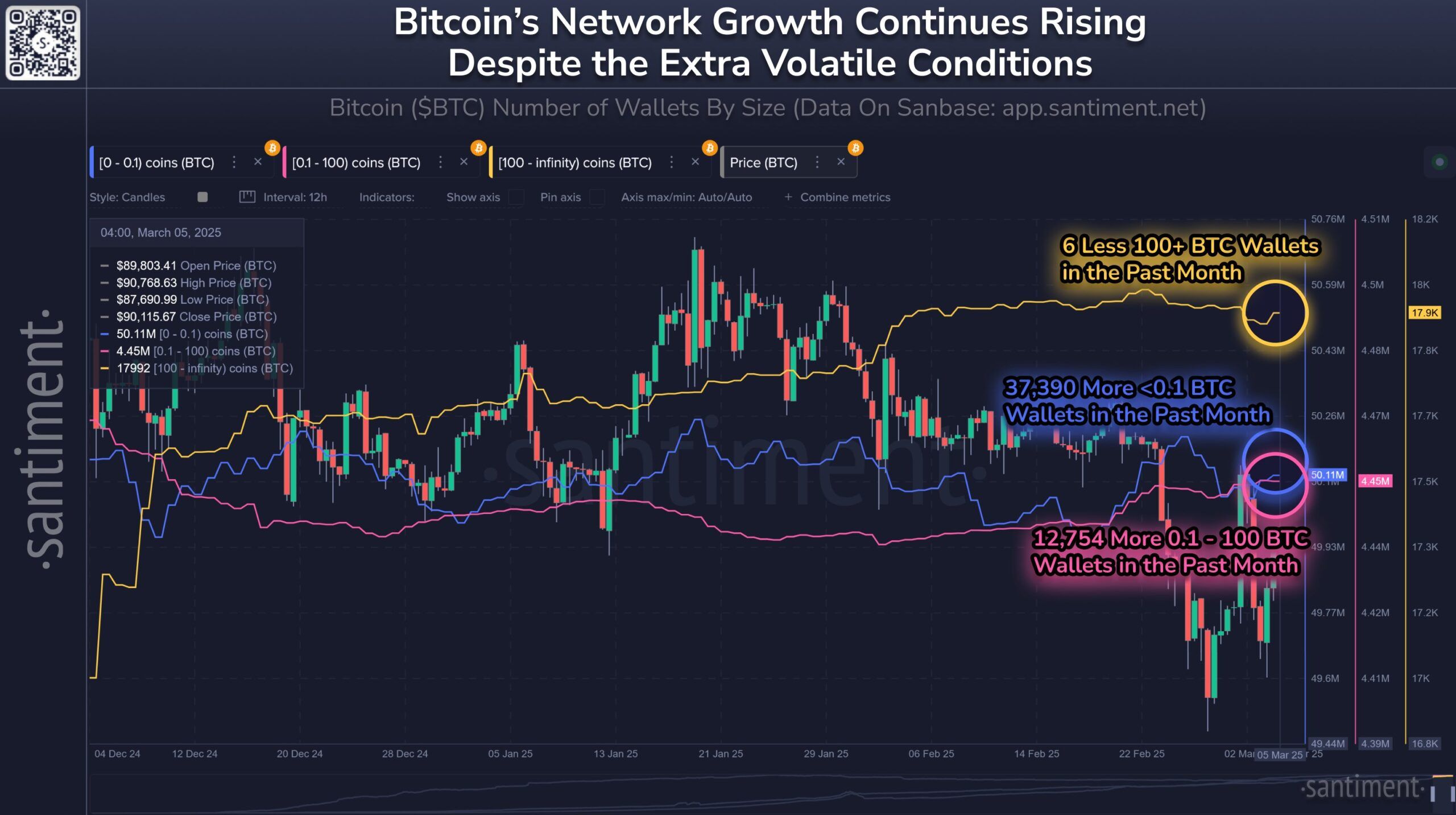 Bitcoin STH Holders