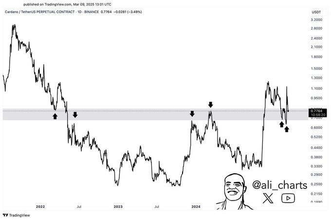 Cardano Price Chart