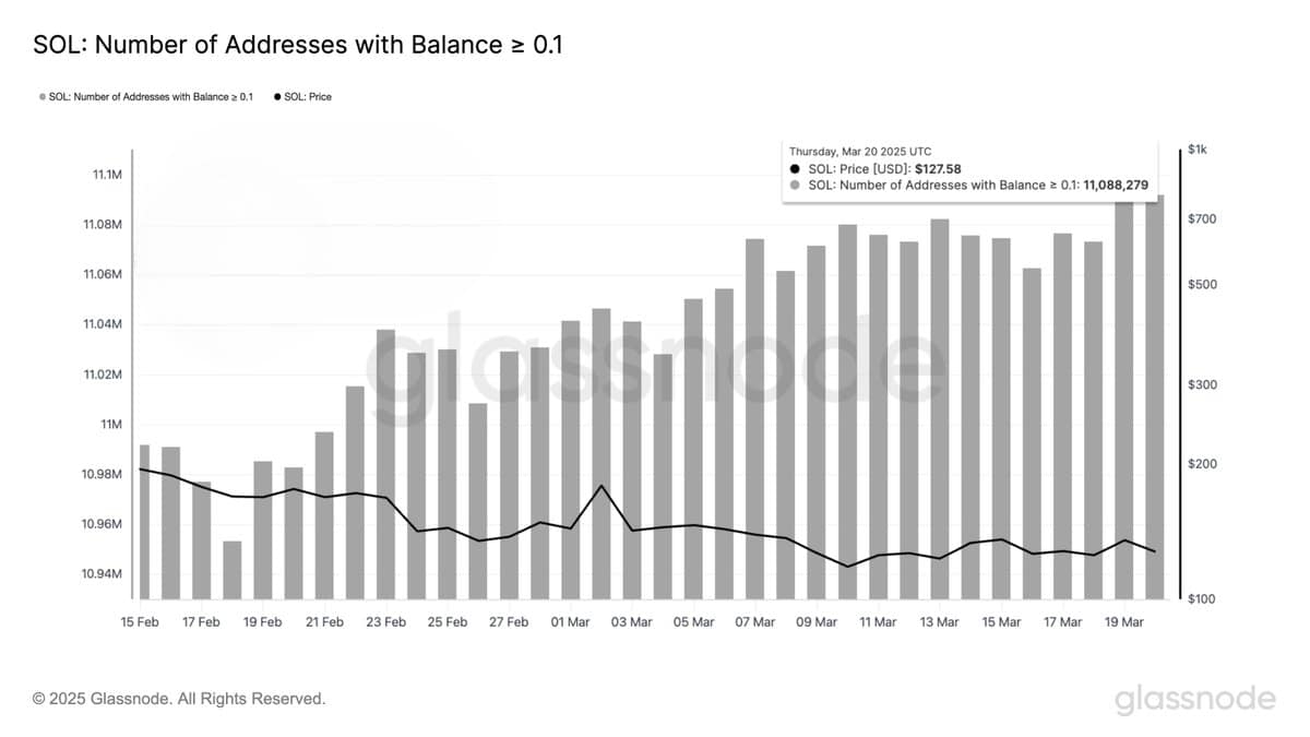 Solana wallets growth chart