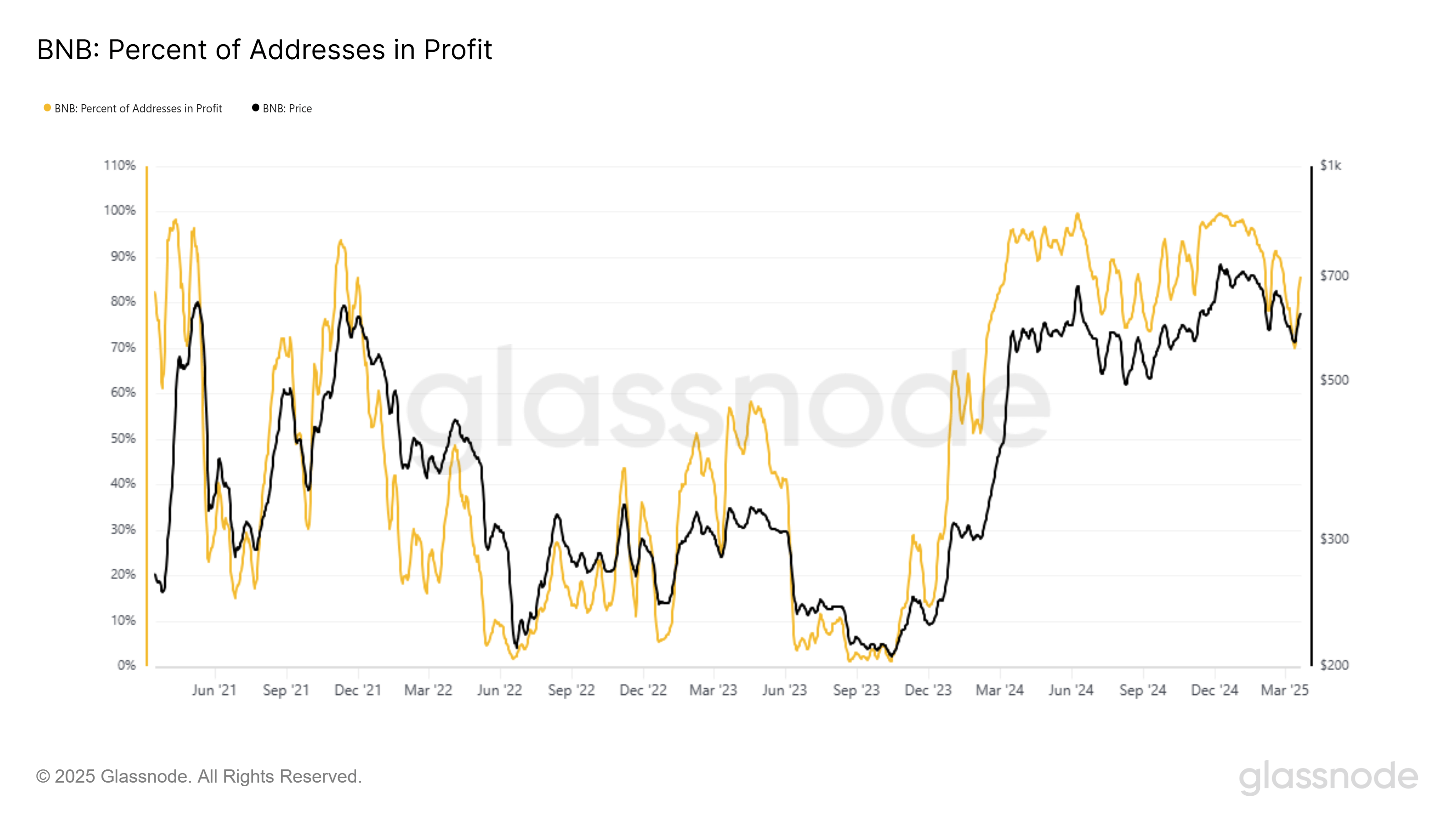 BNB Percent Addresses in Profit