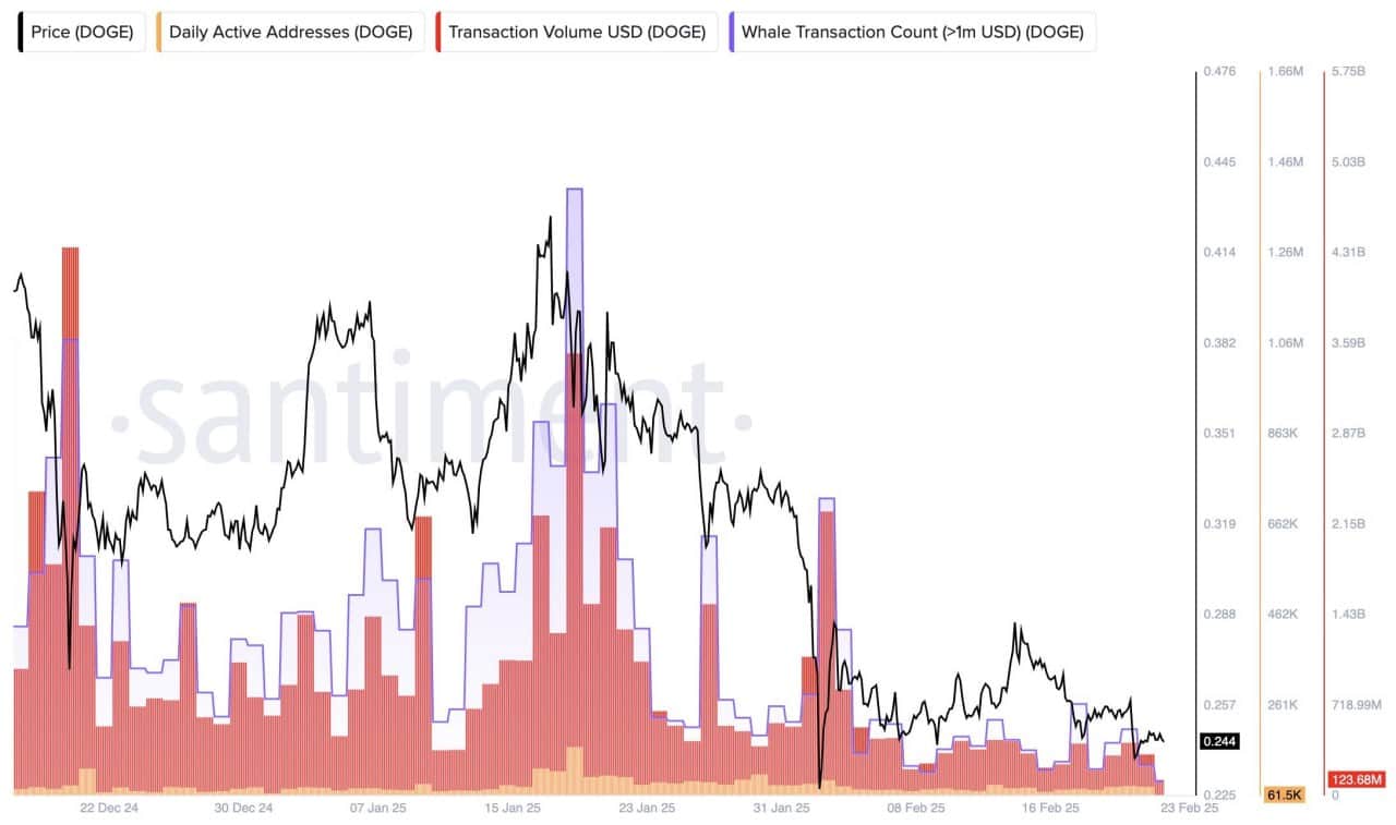 DOGE Whale Activity