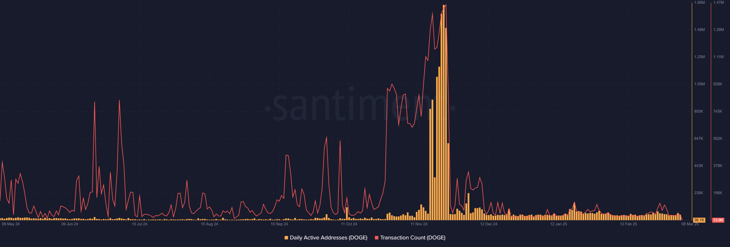 Dogecoin daily activity statistics