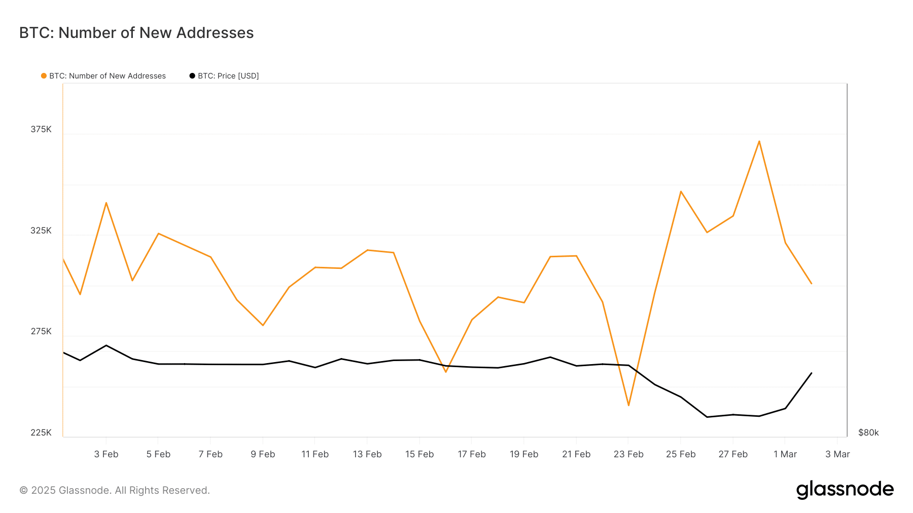 BTC new addresses