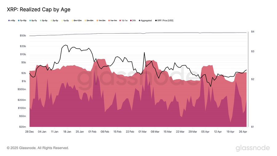 XRP Hot Capital Rebound