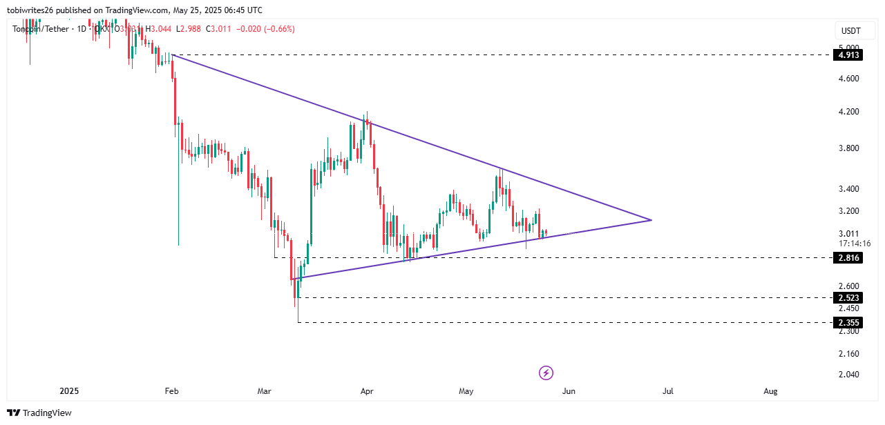 Toncoin Support Analysis