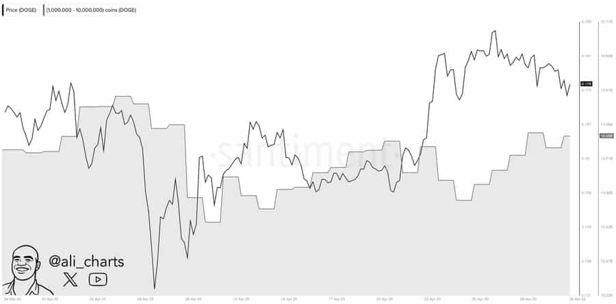 Dogecoin accumulation by whales