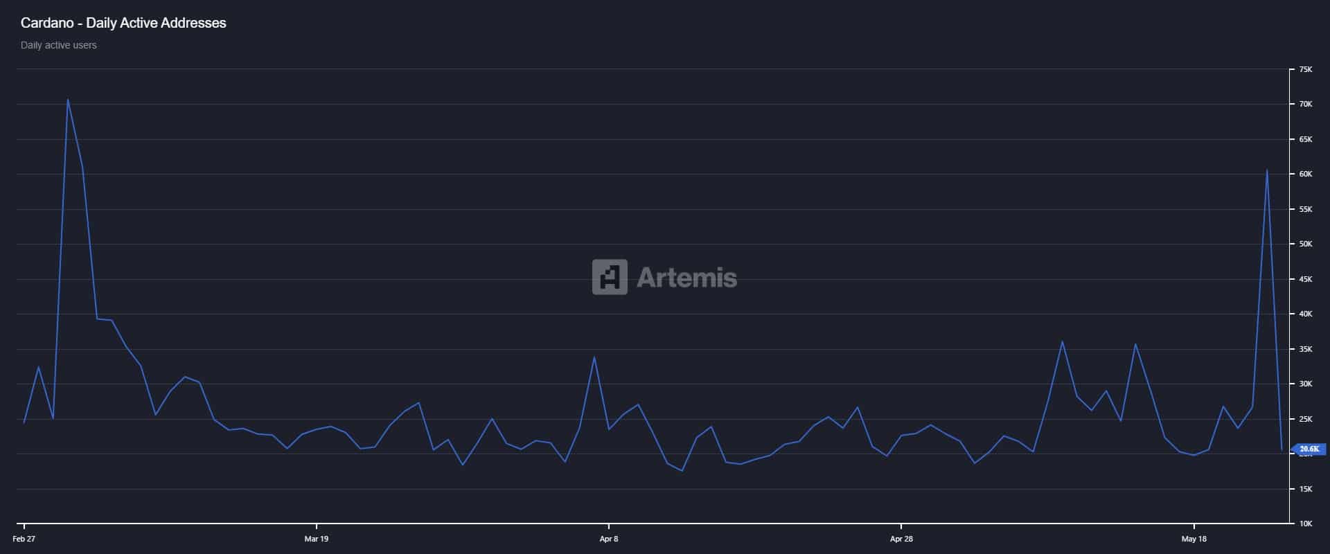 Cardano Aktif Yatırımcılar