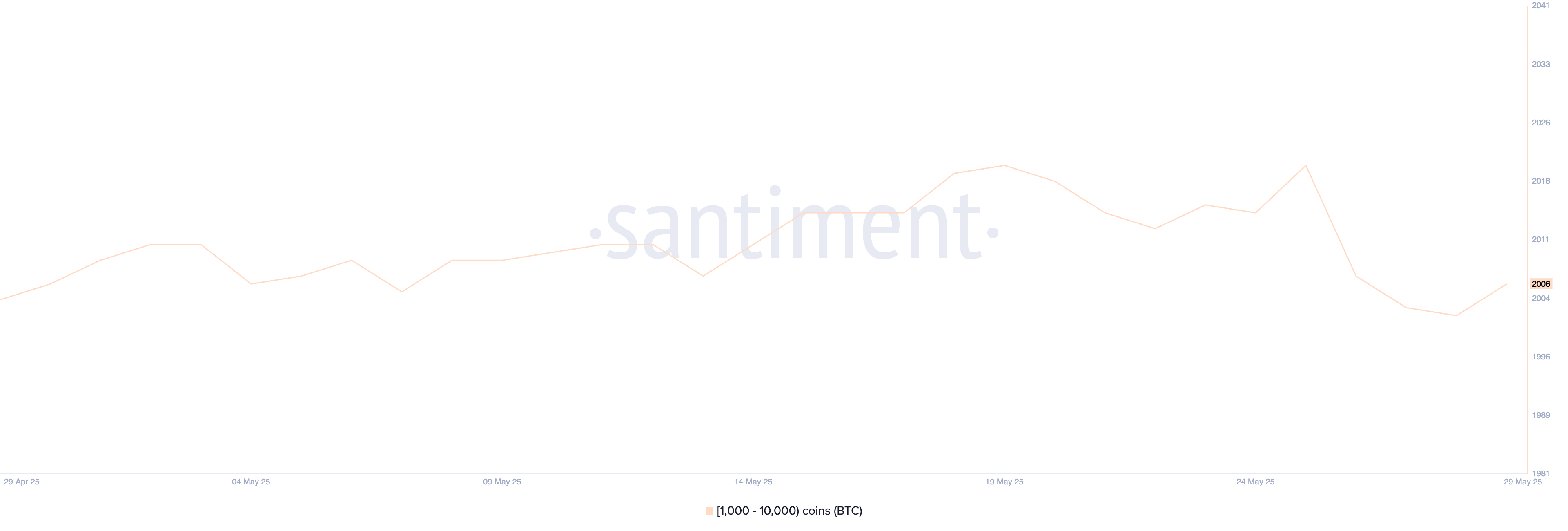 Bitcoin Whale Count Rebound