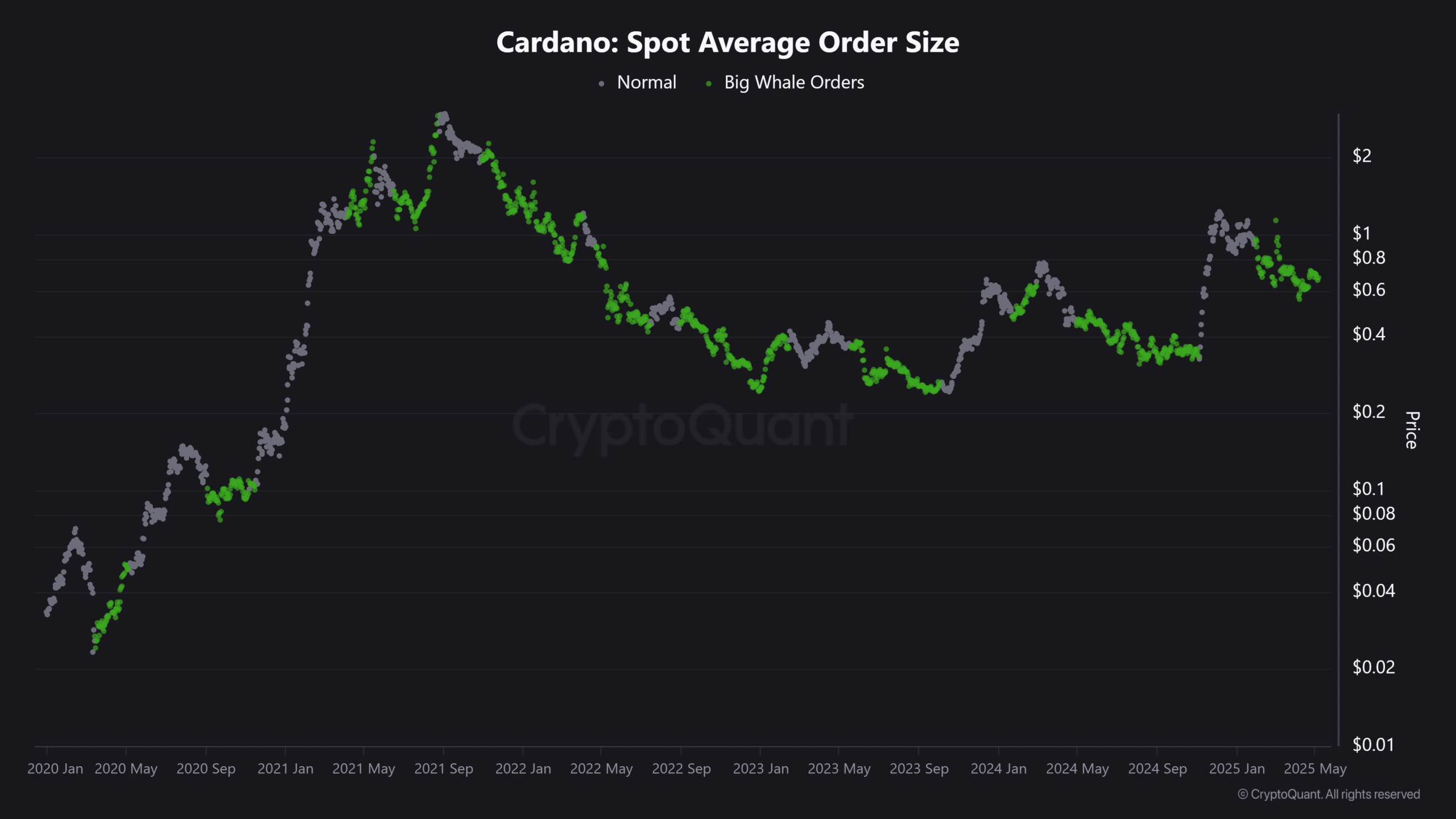 Cardano Spot Average Order Size