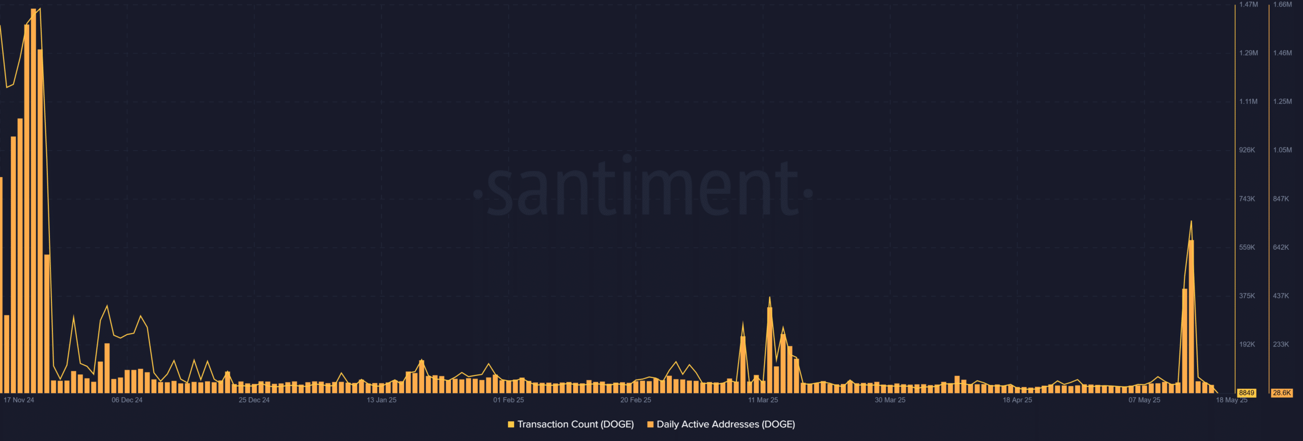 ネットワーク活動の概要
