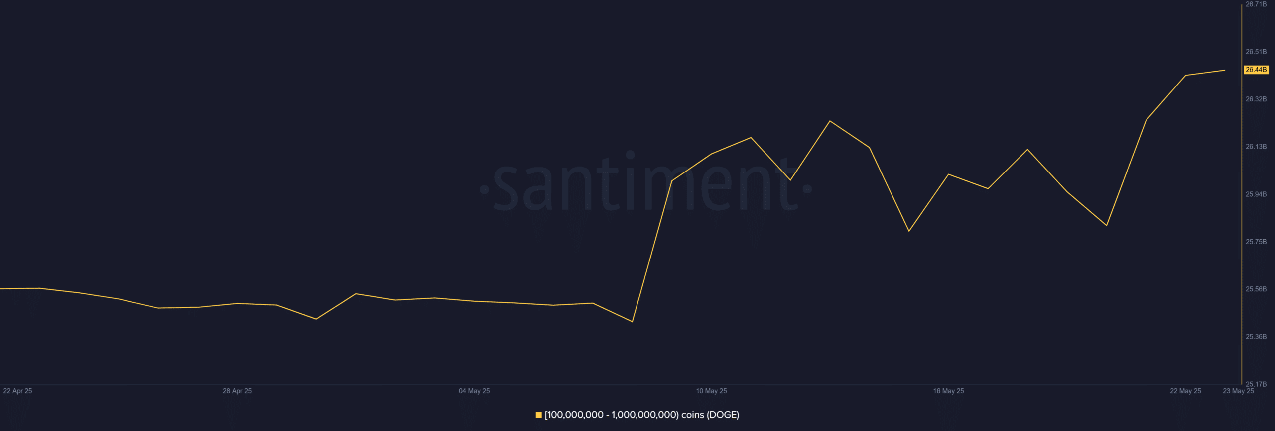 Dogecoin Whale Activity