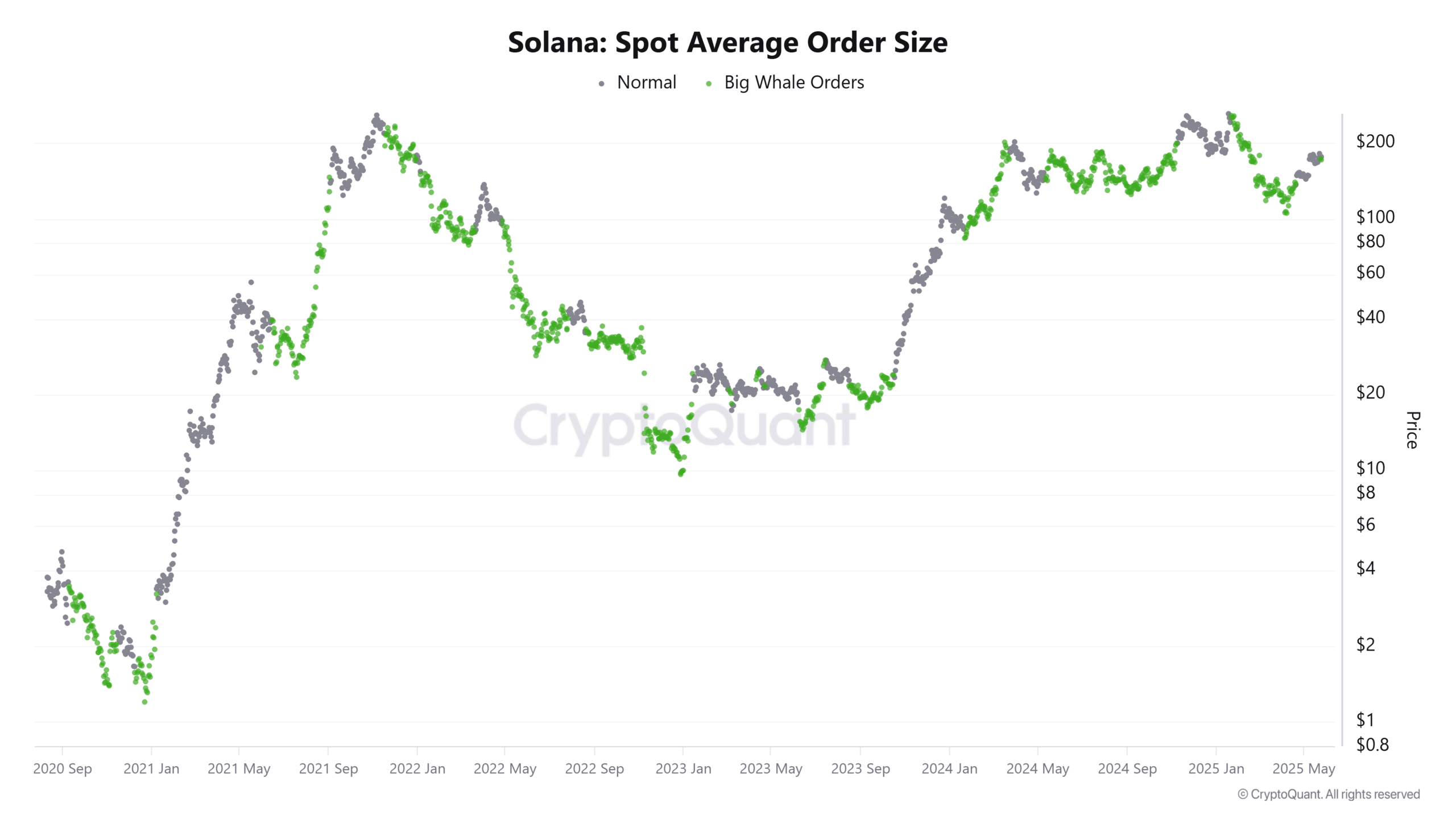 Solana Spot Average Order Size