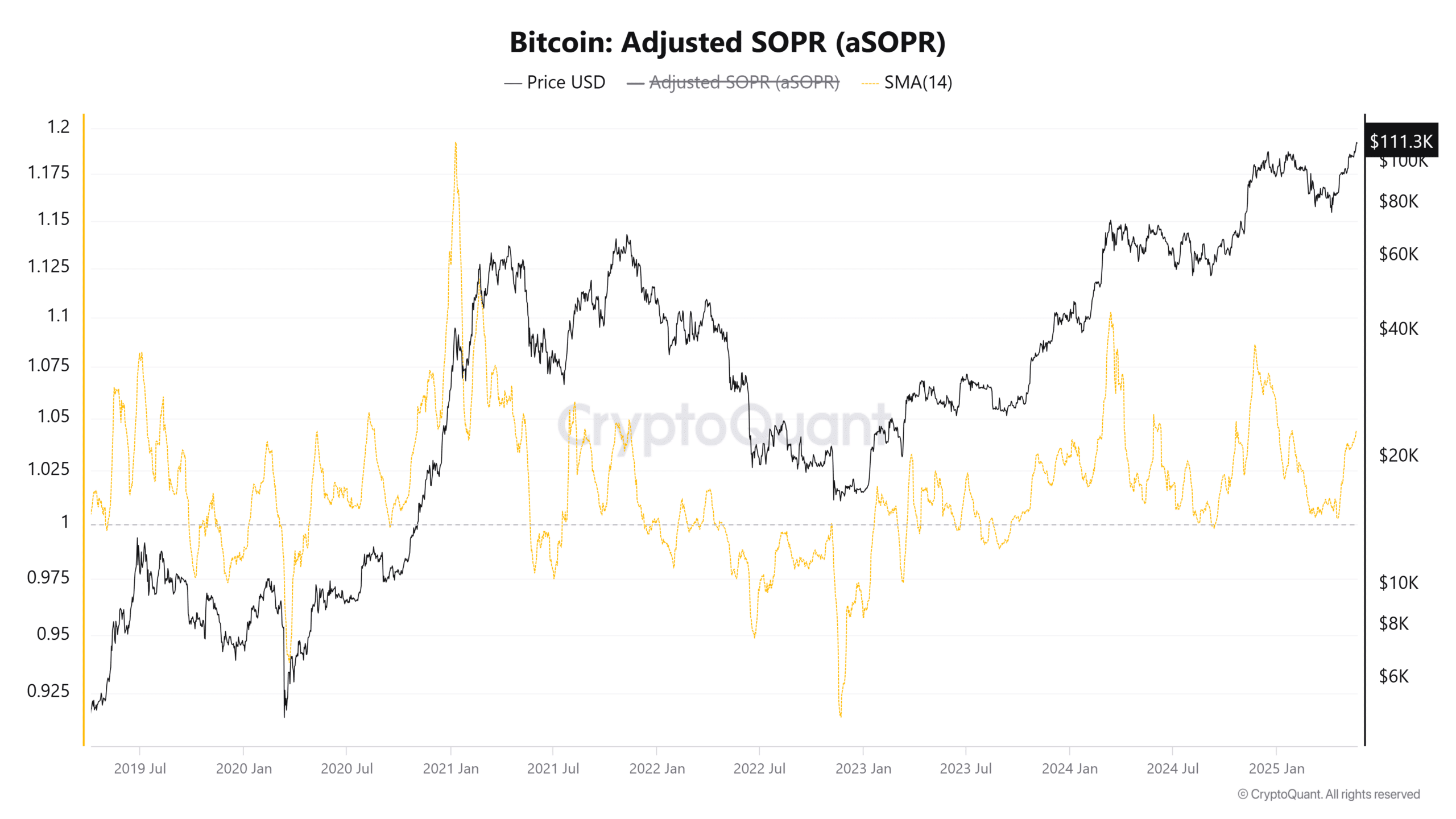 Bitcoin Ayarlanmış SOPR