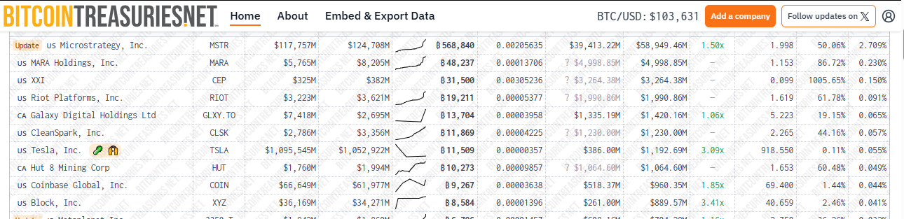Kurumsal Bitcoin sahipleri (portföy boyutuna göre)