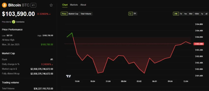 Bitcoin (BTC) Fiyat Performansı
