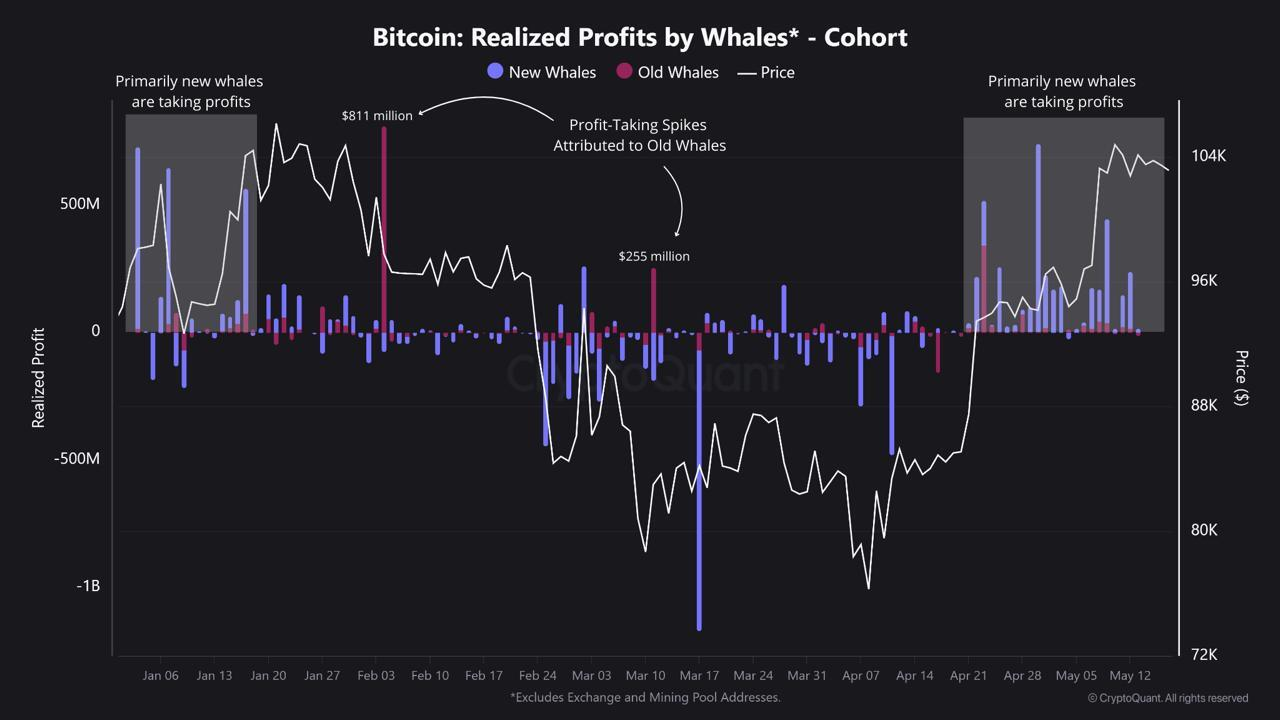 bitcoin balina verileri