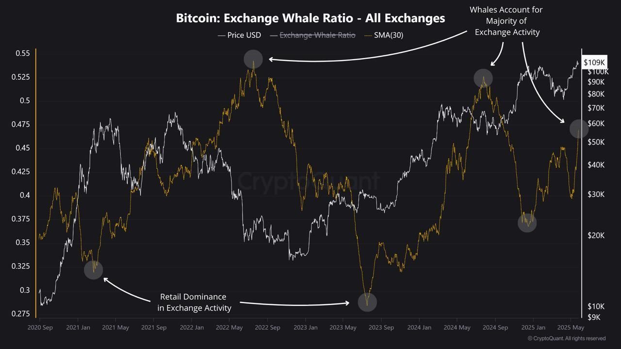 ビットコイン: 取引所のクジラ比率。