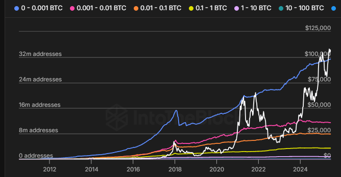 10-100 BTC arasında Bitcoin tutanların sayısını gösteren grafik