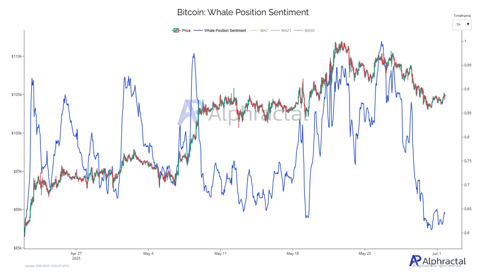 Bitcoin Balina Pozisyonları