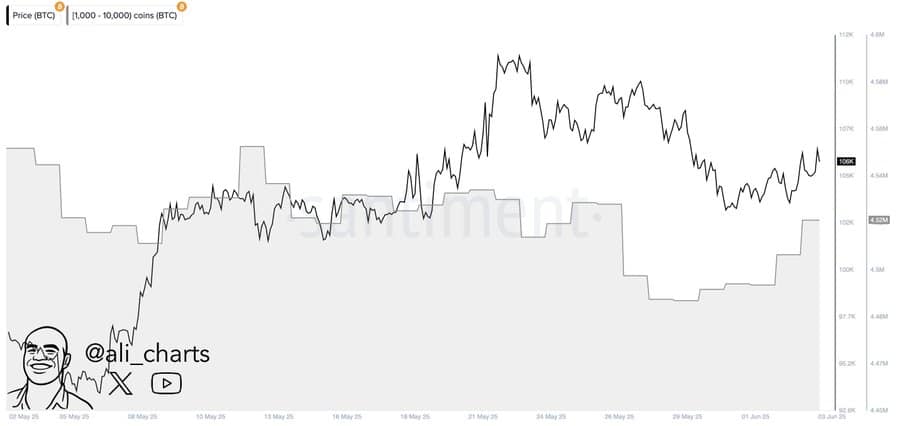 ビットコインクジラの蓄積チャート、BTCの流入を示す