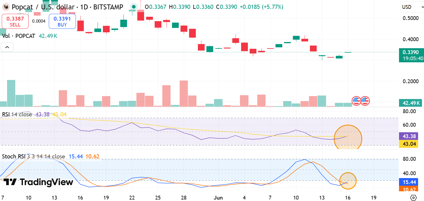 Popcat RSI & Stoch