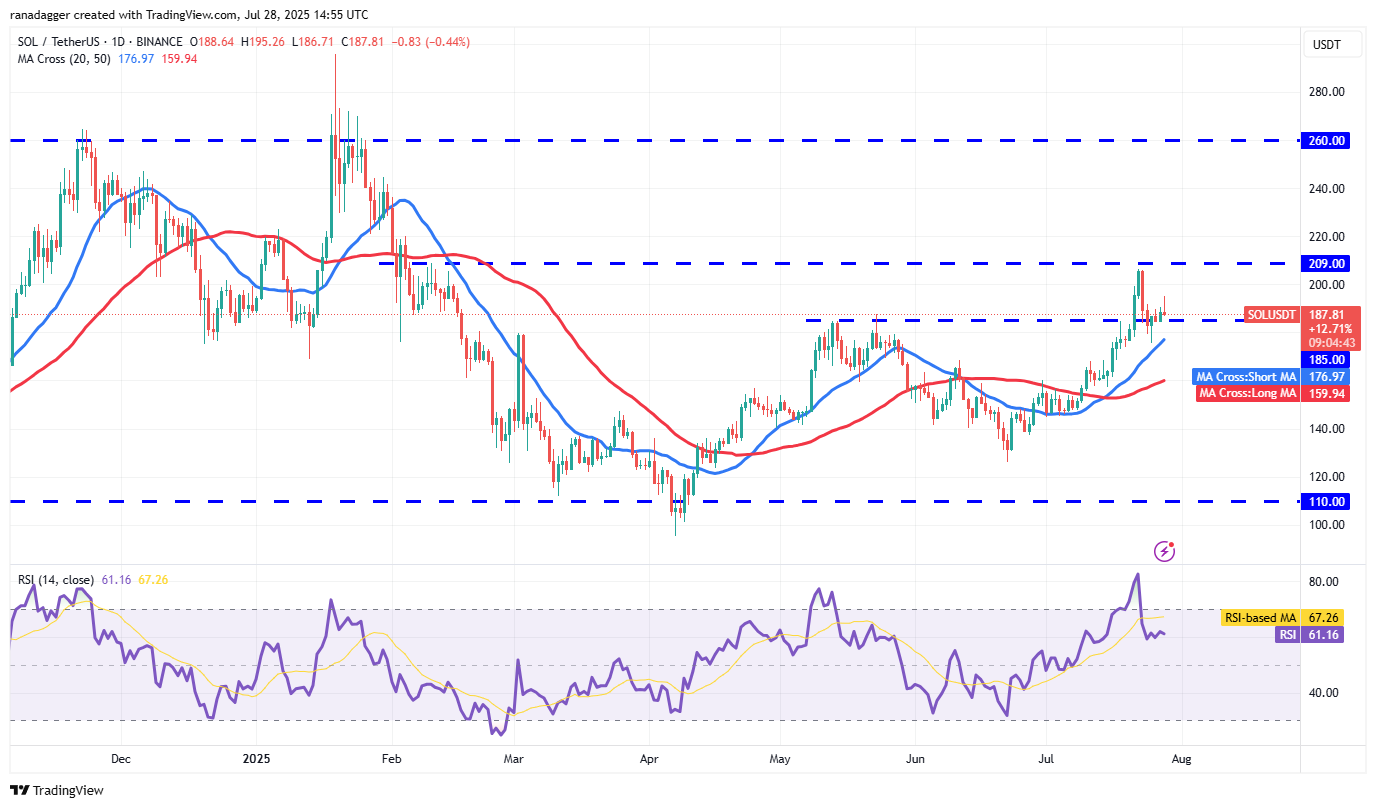 SOL/USDT günlük grafik SOL/USDT günlük grafik