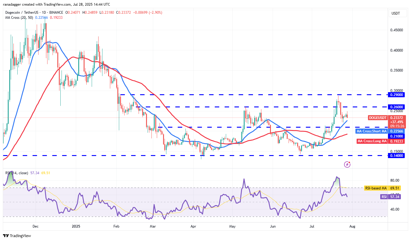 DOGE/USDT günlük grafik DOGE/USDT günlük grafik
