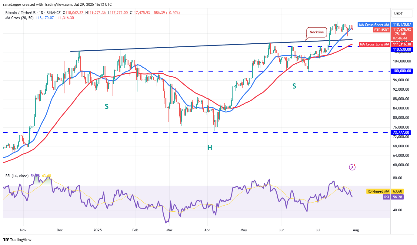 Bitcoin Eyes Potential Upside Move as ETH, BNB, AVAX, and PENGU Show Signs of Strength 1 BTC/USDT daily chart