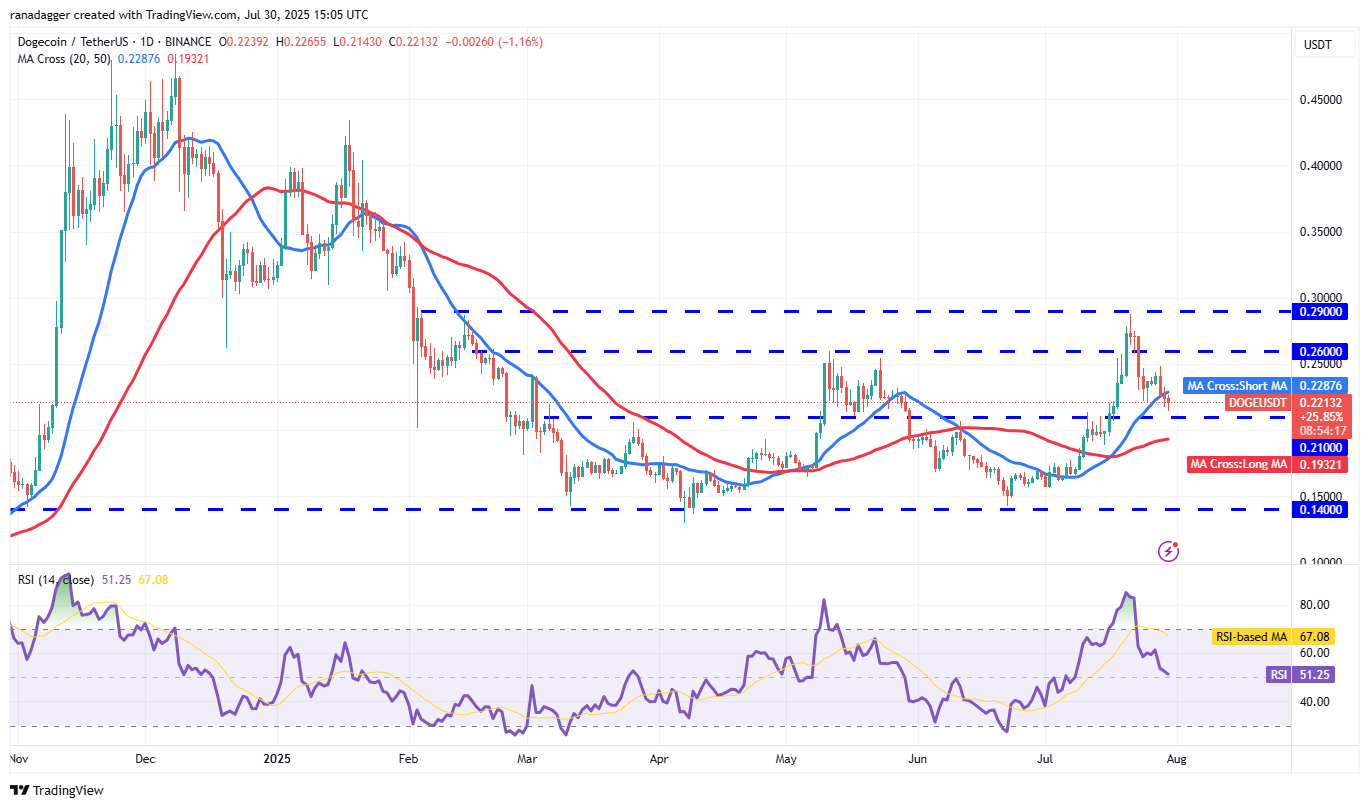DOGE/USDT daily chart