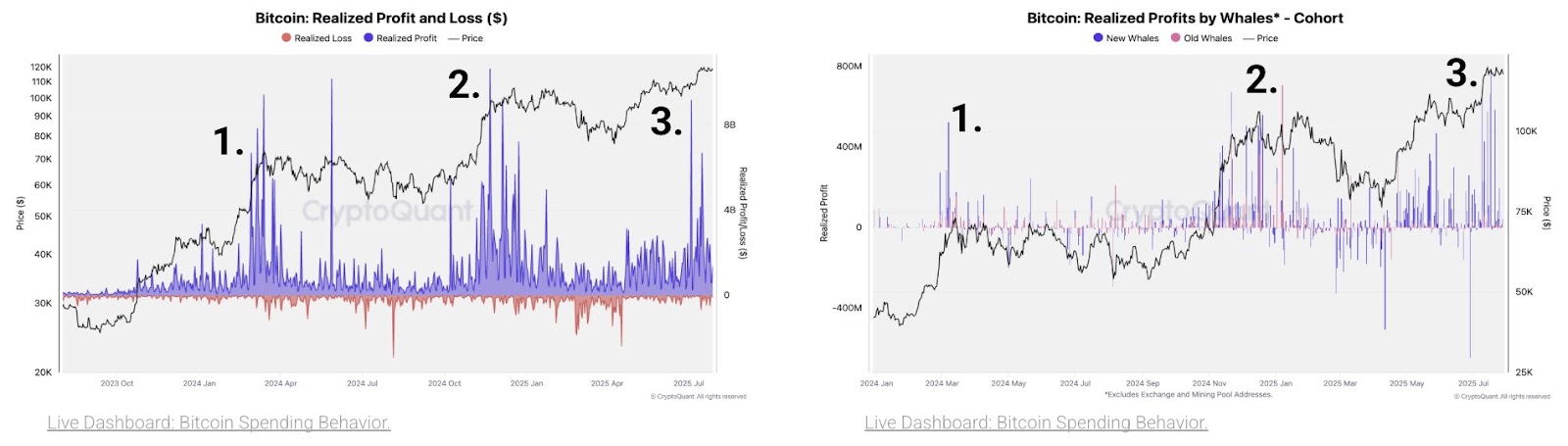 Bitcoin Sees Possible Third Major Profit-Taking Wave Driven by New Whales Amid Market Fluctuations 1 Bitcoin whales profit-taking wave chart