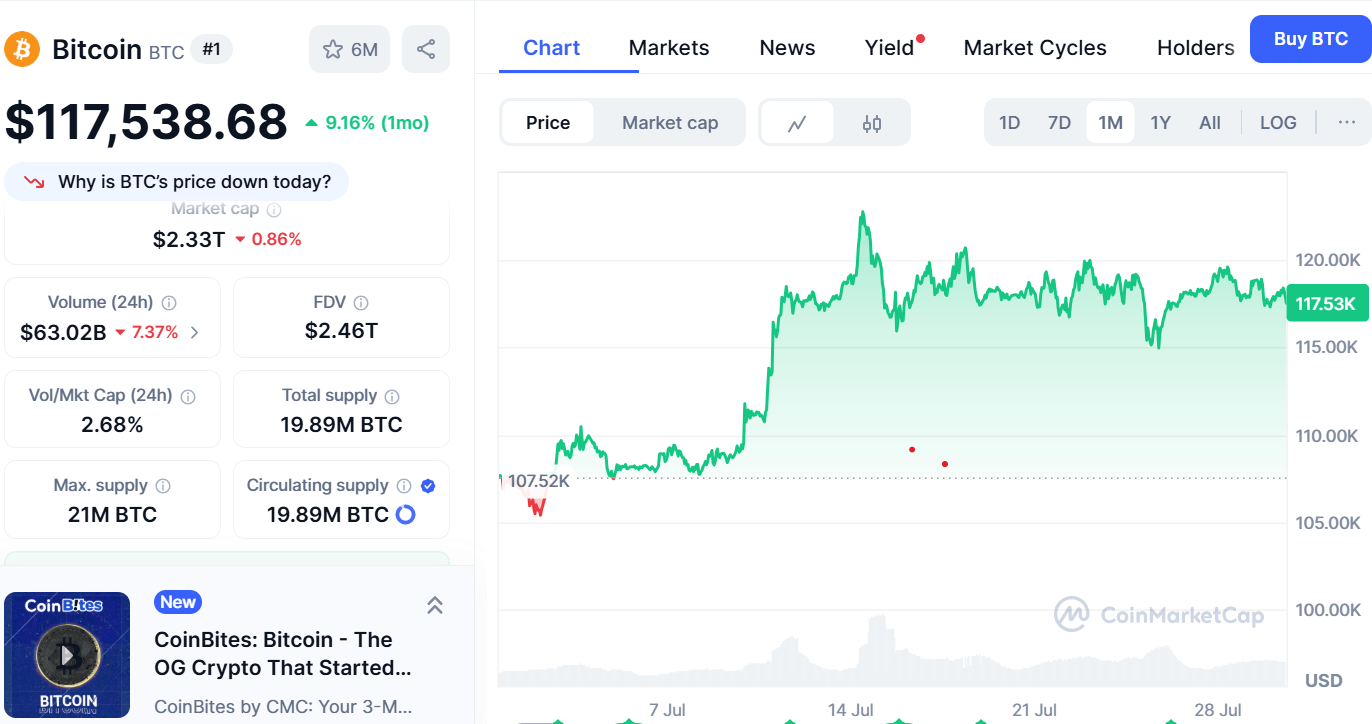 Bitcoin Boğa Bayrağı Formasyonu, 120K Direnci Tutarsa 130K Yönünde Kırılma Olası 2 Bitcoin aşağı yönlü risk grafiği