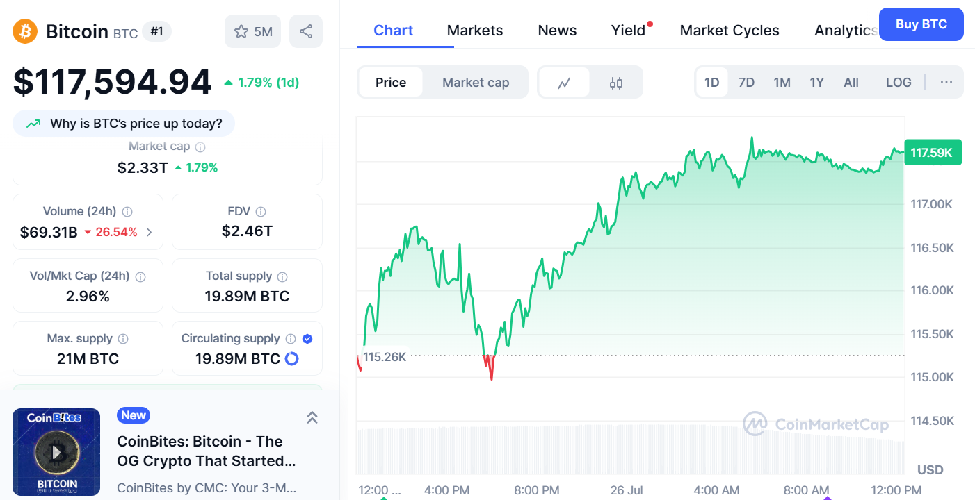 Bitcoin piyasa değeri ve fiyat grafiği