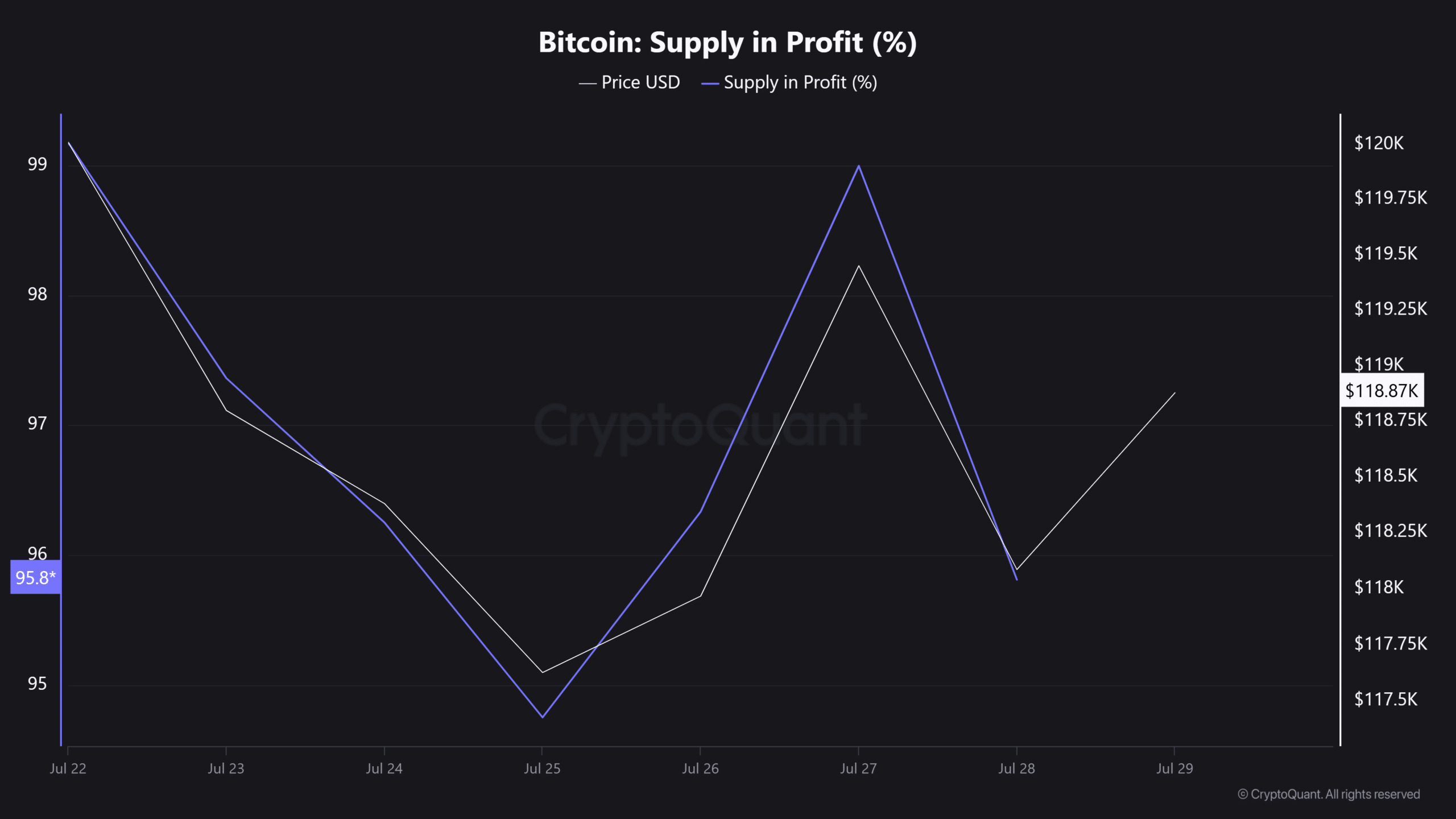 Bitcoin Supply in Profit