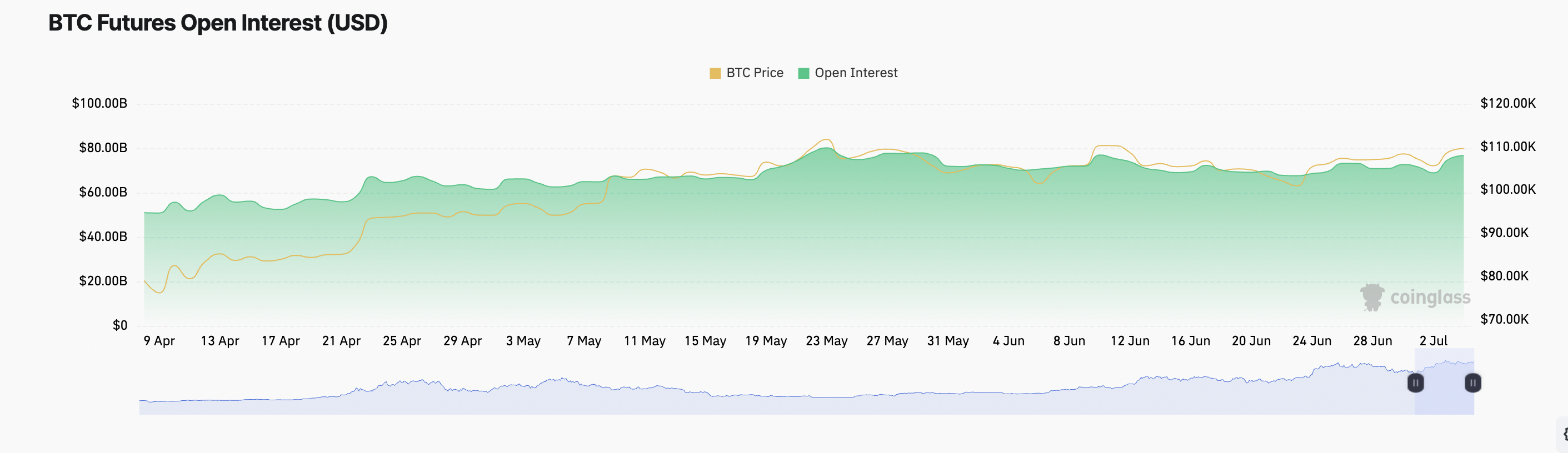 BTC Vadeli İşlemler Açık Pozisyonu.