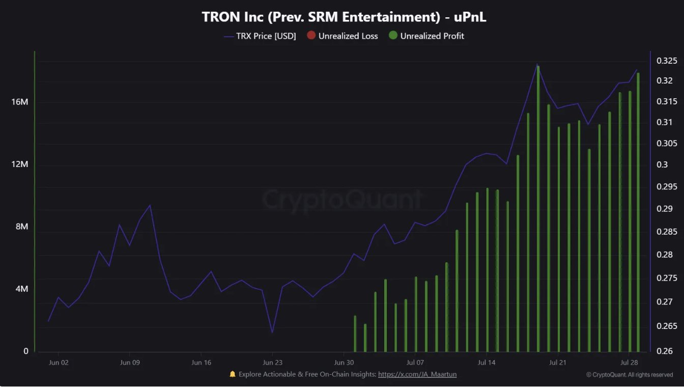 TRON gerçekleşmemiş kâr grafiği