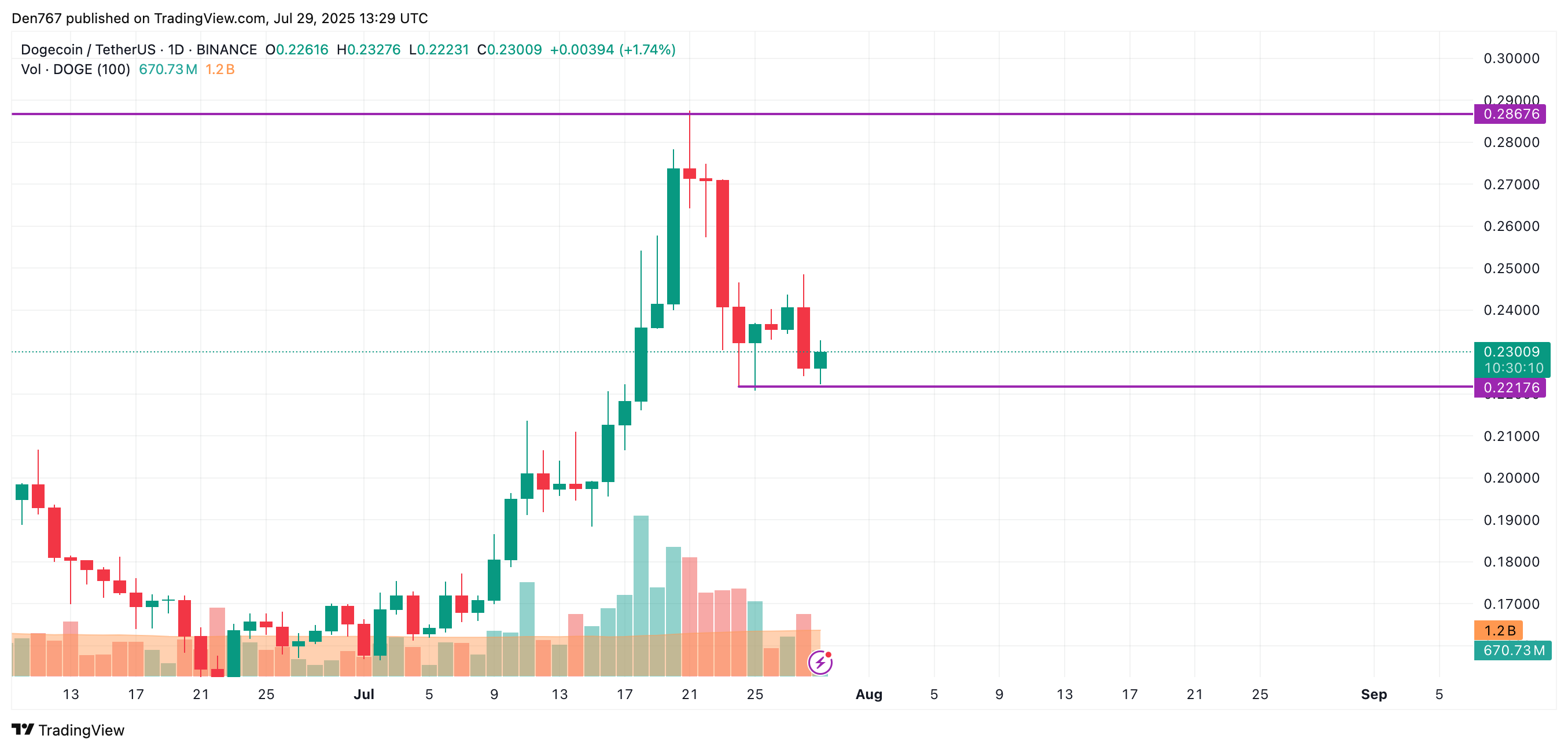 DOGE price support level