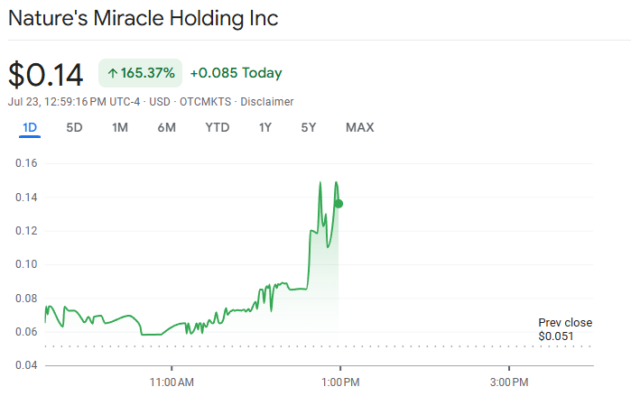 Nature’s Miracle Considers $20 Million XRP Treasury Strategy Amid Regulatory Clarity and Market Volatility 1 Nature’s Miracle Stock Price Chart showing a sharp increase
