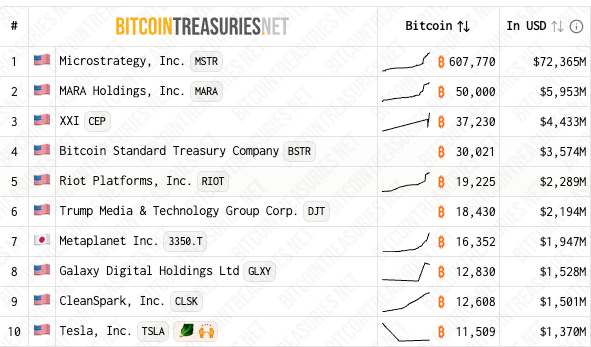 Tesla’s Bitcoin Holdings May Offset Q2 Revenue Decline Amid Growing Corporate BTC Treasury Strategies 2 Publicly traded Bitcoin treasury companies chart