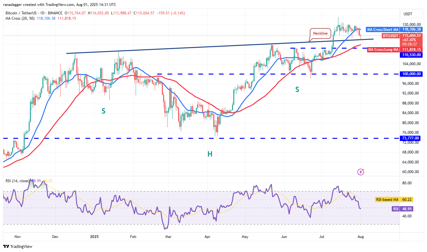 Bitcoin Faces Possible Rebound Toward New Highs Amid Consolidation and Institutional Buying 1 BTC/USDT daily chart