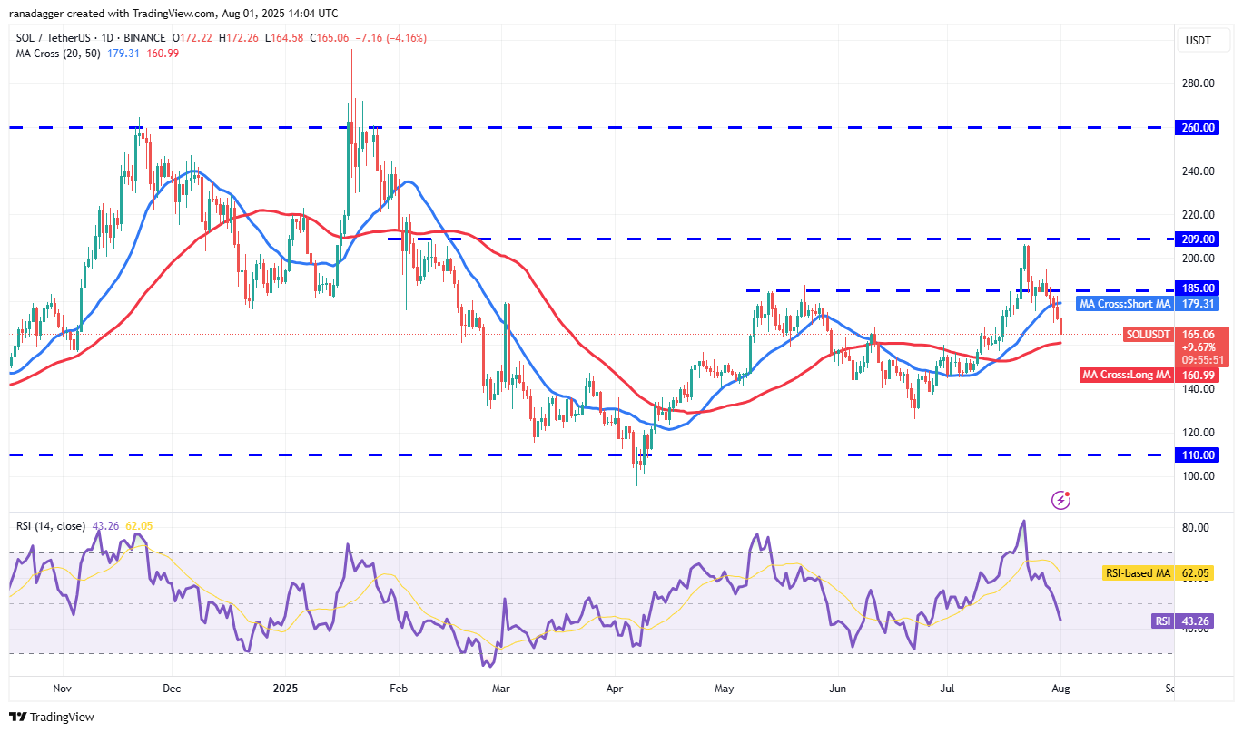 Bitcoin Faces Possible Rebound Toward New Highs Amid Consolidation and Institutional Buying 5 SOL/USDT daily chart