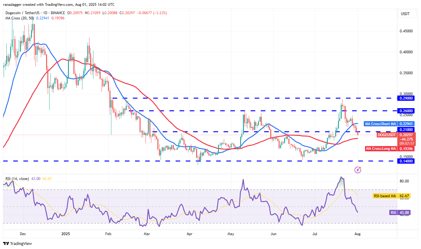 Bitcoin Faces Possible Rebound Toward New Highs Amid Consolidation and Institutional Buying 6 DOGE/USDT daily chart