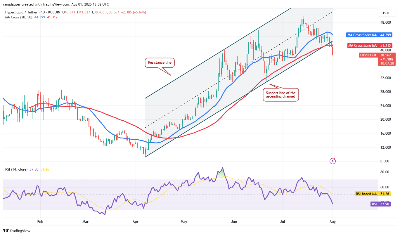 Bitcoin Faces Possible Rebound Toward New Highs Amid Consolidation and Institutional Buying 8 HYPE/USDT daily chart