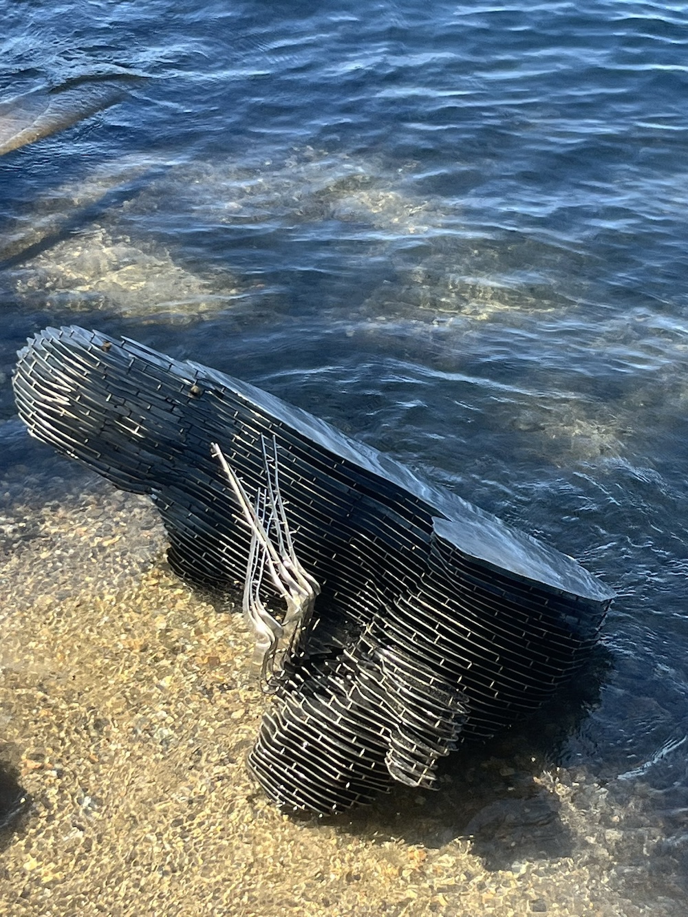Bitcoin Statue of Satoshi Nakamoto Recovered in Switzerland After Vandalism Incident 3 Satoshi Nakamoto, Switzerland, Crimes, Bitcoin Adoption