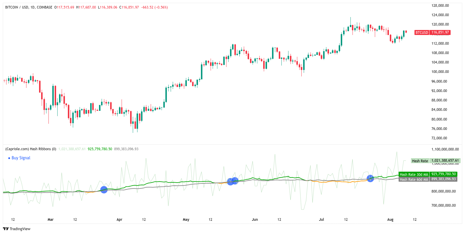Bitcoin Hash Ribbons data