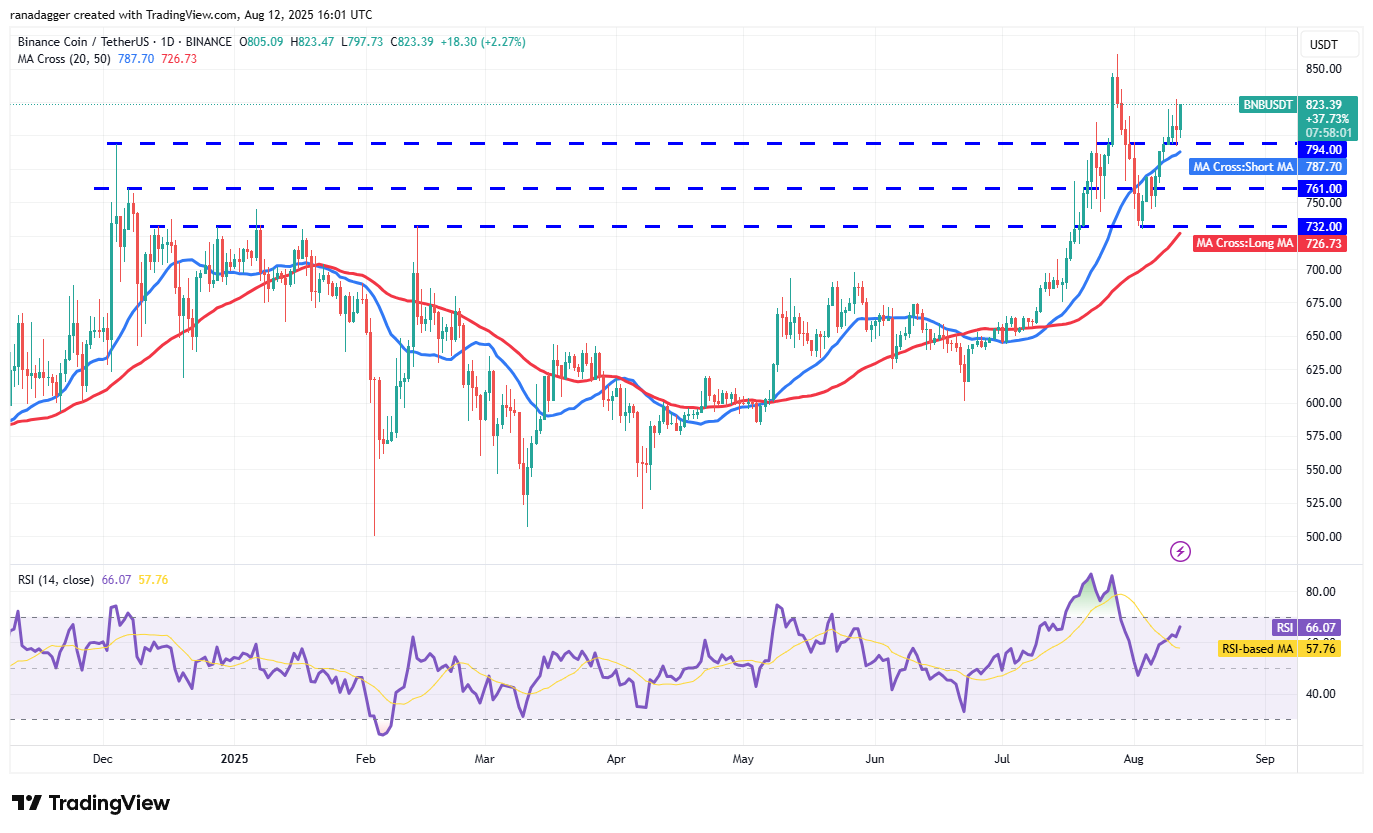 BNB/USDT daily chart. Source: Cointelegraph/TradingView