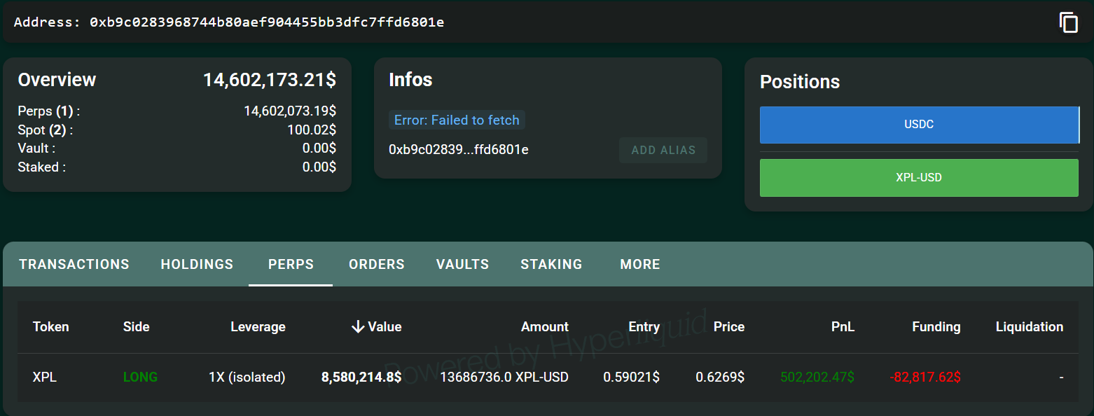Hypurrscan snapshot of wallet 0xb9c perpetual futures positions