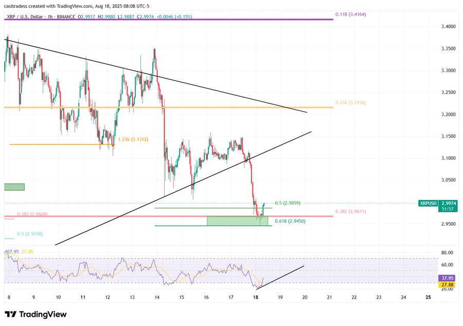 XRP Faces Critical Resistance at $3.30 Amid Whale Activity and Sell Pressure, Potential Decline Toward $2.60 Suggested 1 XRP Price Chart