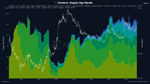 Long-Term ADA Cardano Accumulation Persists Amid Low Short-Term Selling Pressure and Moderate Market Conditions 1 ADA Cardano Accumulation
