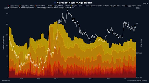 Long-Term ADA Cardano Accumulation Persists Amid Low Short-Term Selling Pressure and Moderate Market Conditions 2 Short-Term Holder Trends